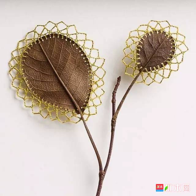 批木网 anywood.com