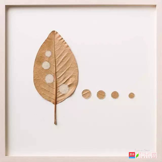 批木网 anywood.com