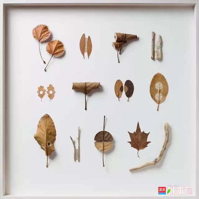 批木网 anywood.com