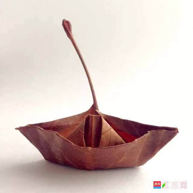 批木网 anywood.com