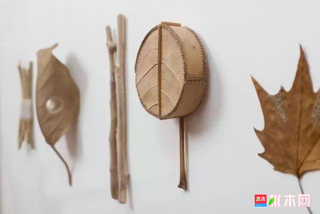 批木网 anywood.com