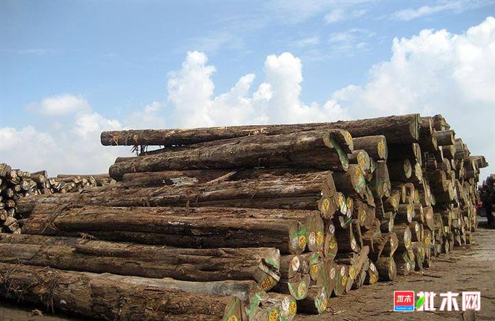 批木网anywood.com