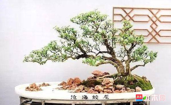 批木网 anywood.com