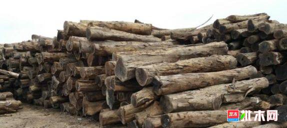 批木网 anywood.com