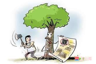 批木网anywood.com