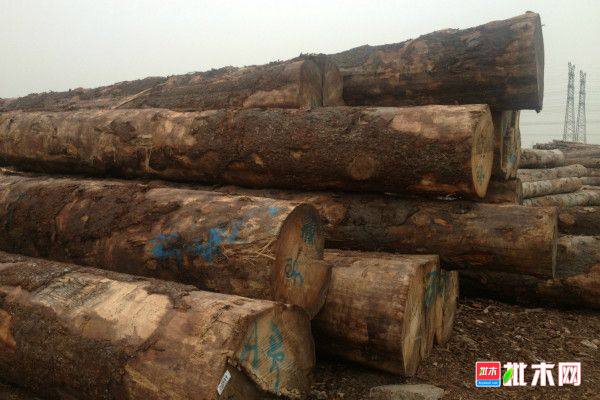 批木网 anywood.com
