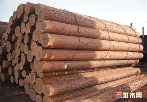 批木网anywood.com