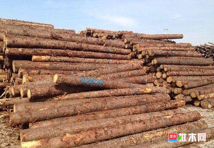 批木网 anywood.com