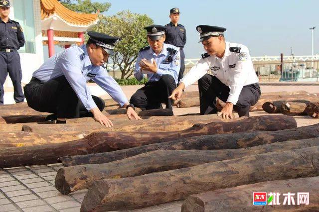 批木网anywood.com