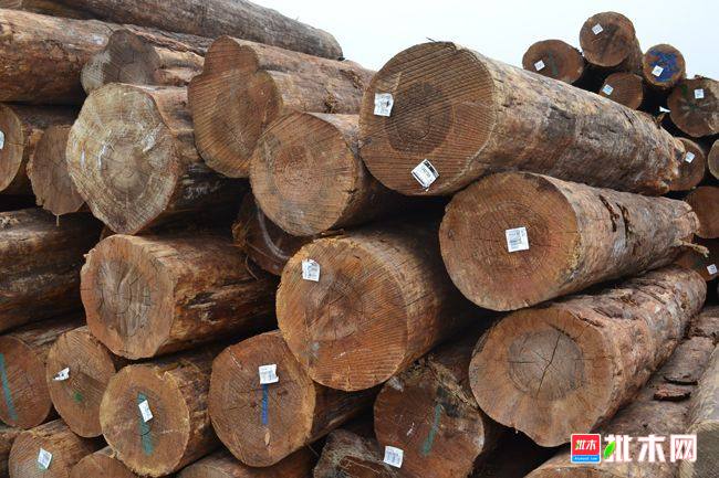 批木网anywood.com