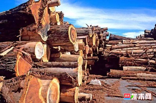 批木网anywood.com