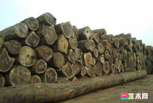批木网 anywood.com