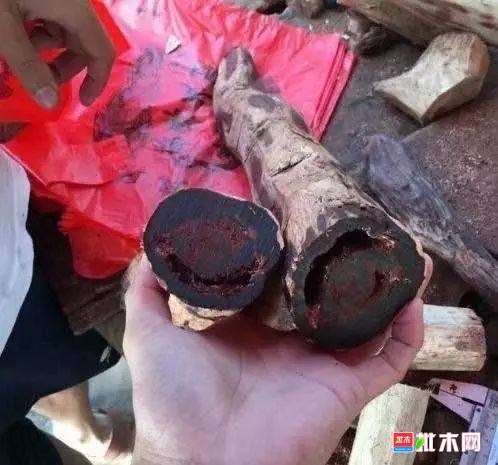 批木网 anywood.com