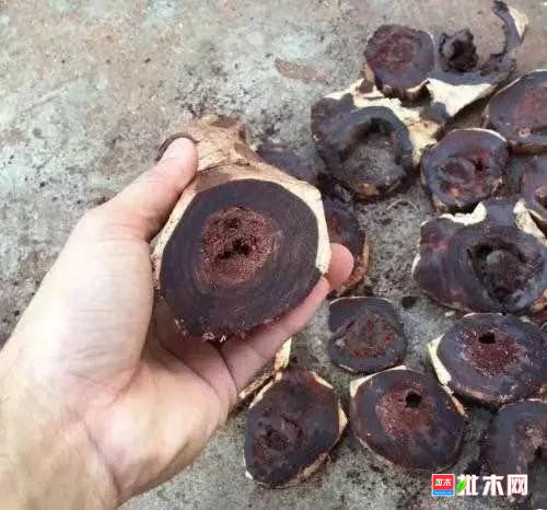 批木网 anywood.com