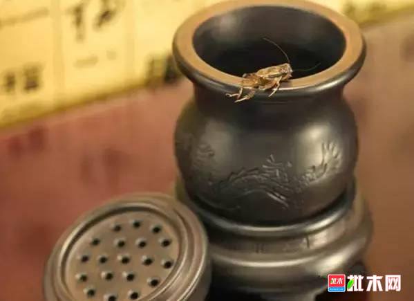批木网 anywood.com