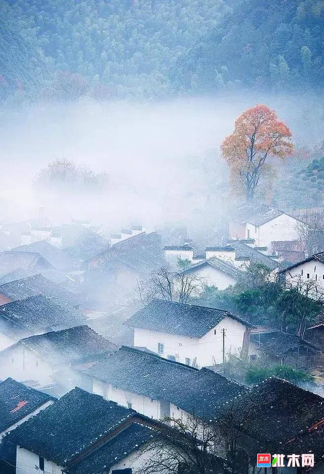 批木网 anywood.com