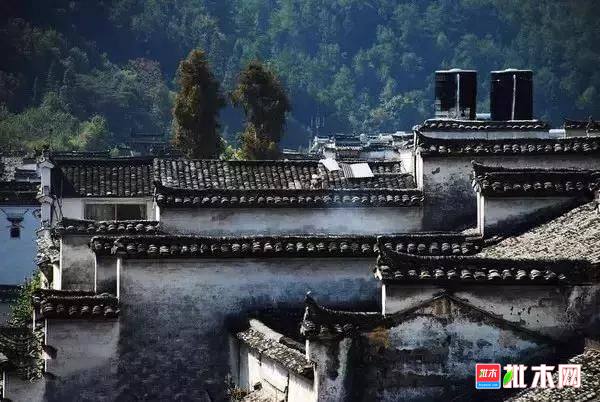 批木网 anywood.com