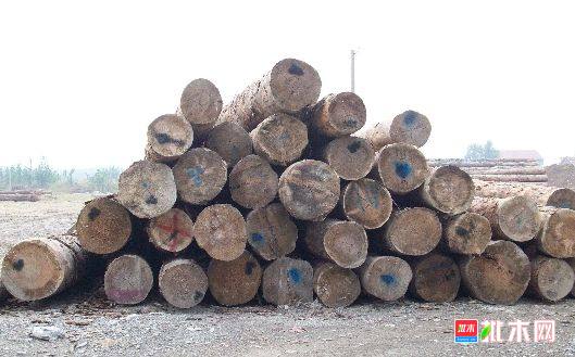 批木网 anywood.com