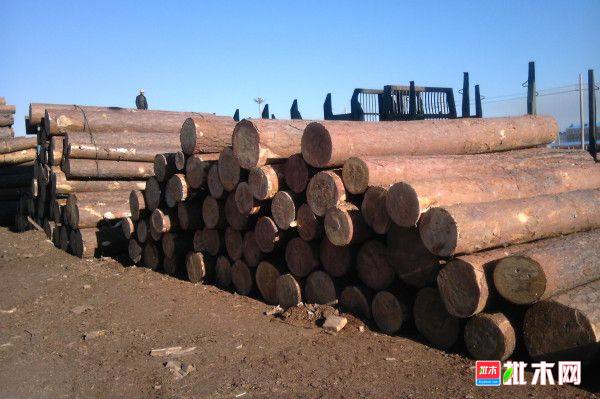 批木网 anywood.com