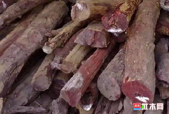 批木网 anywood.com