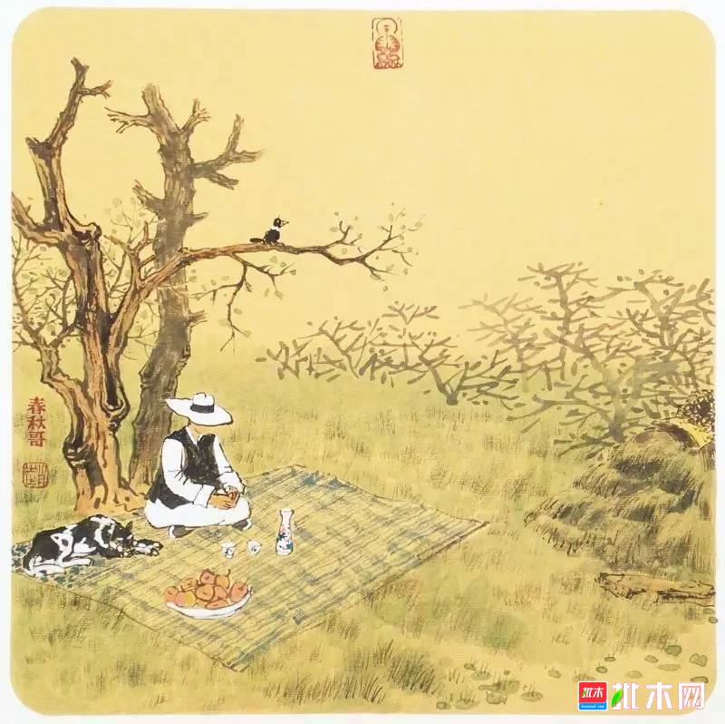 批木网 anywood.com