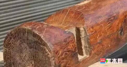 批木网 anywood.com