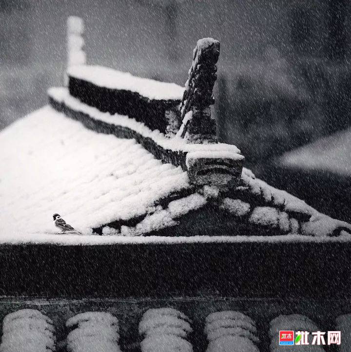 批木网 anywood.com
