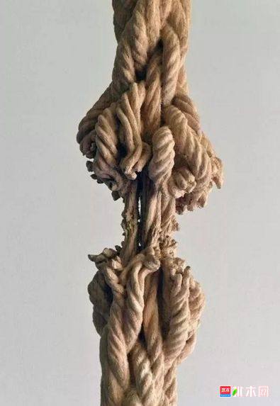 批木网 anywood.com