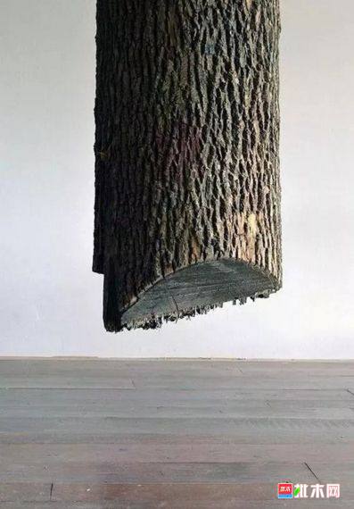 批木网 anywood.com