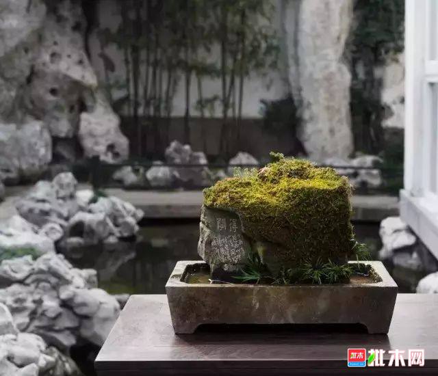 批木网 anywood.com