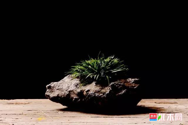 批木网 anywood.com