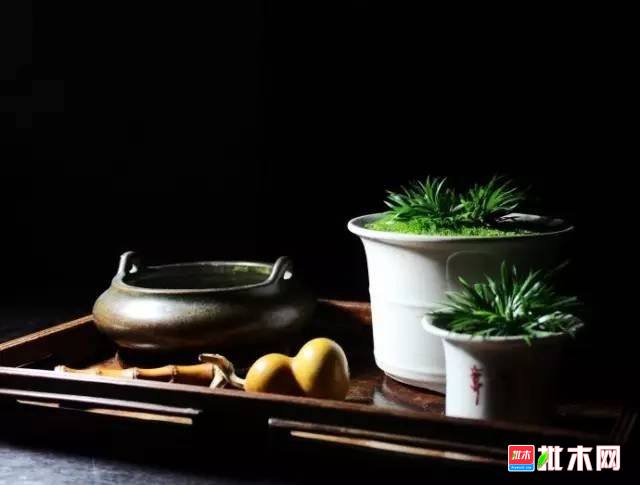 批木网 anywood.com