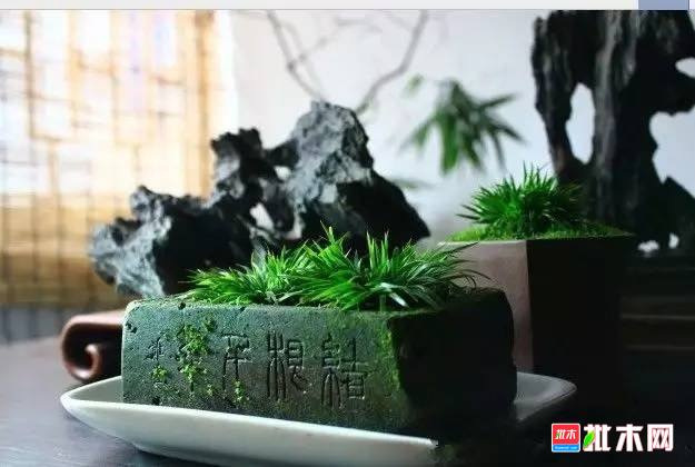 批木网 anywood.com