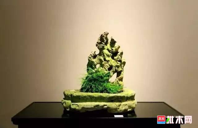 批木网 anywood.com