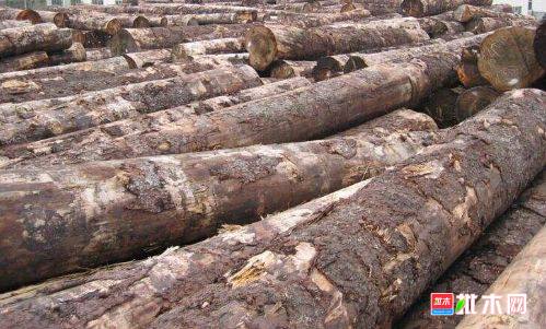 批木网 anywood.com