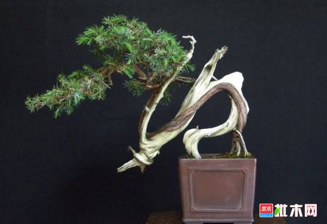 批木网 anywood.com
