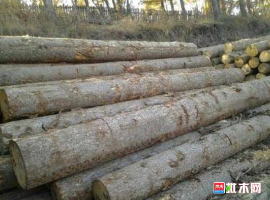 批木网 anywood.com