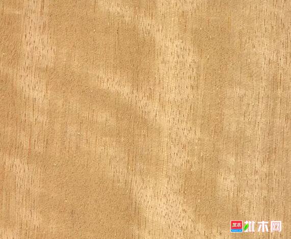 批木网 anywood.com