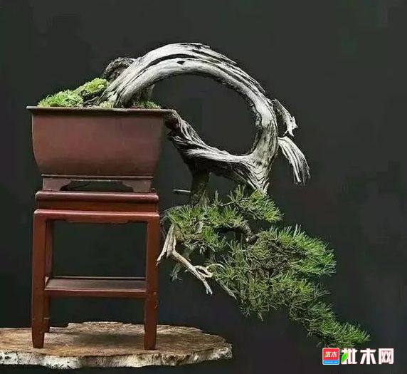 批木网 anywood.com