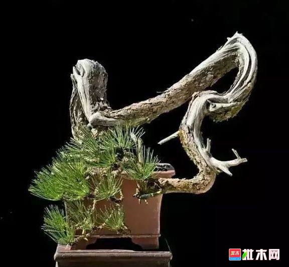 批木网 anywood.com