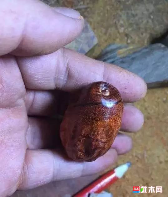 批木网 anywood.com
