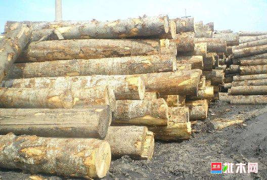 批木网 anywood.com