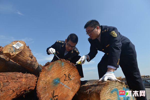 批木网anywood.com