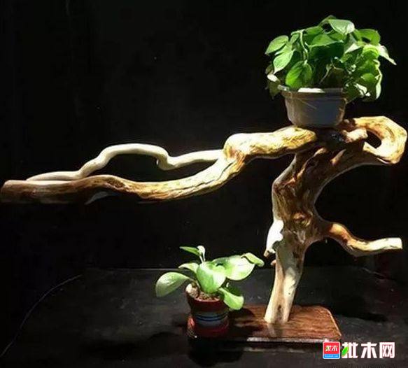 批木网 anywood.com
