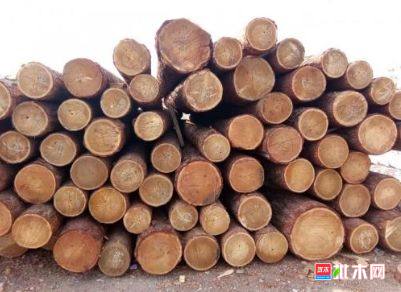 批木网 anywood.com