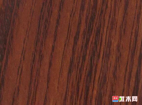 批木网 anywood.com