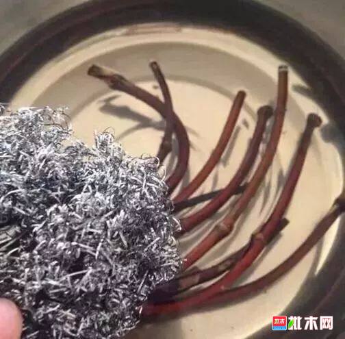 批木网 anywood.com