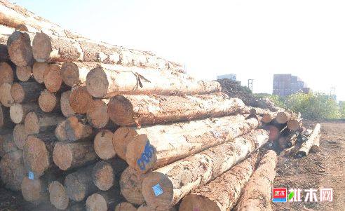 批木网 anywood.com