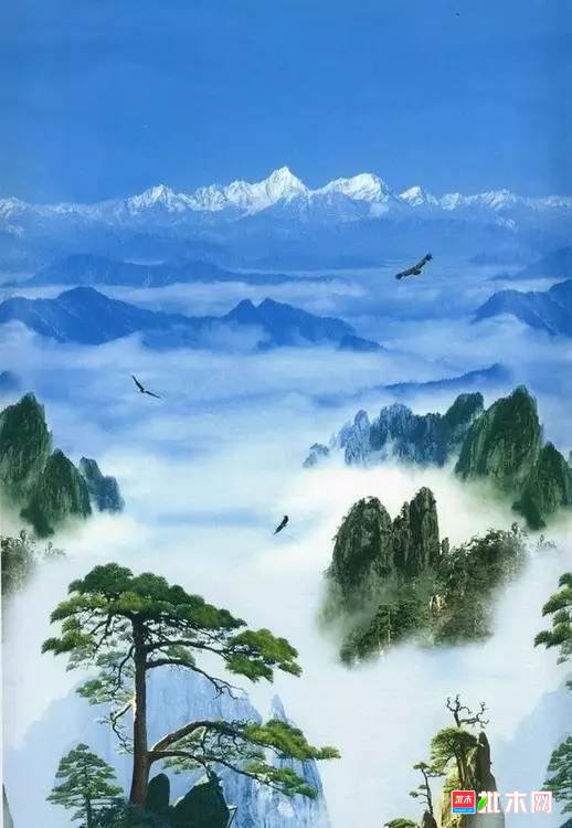批木网 anywood.com