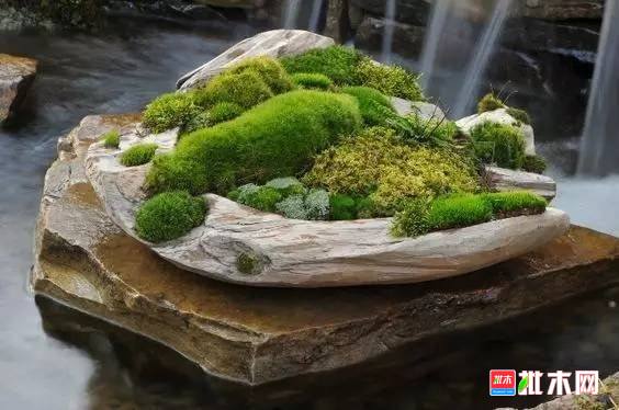 批木网 anywood.com